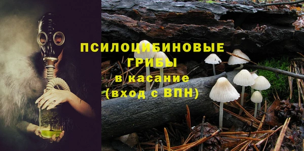 твердый Пестово