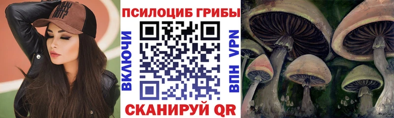 Галлюциногенные грибы прущие грибы  мега зеркало  Ейск  где продают наркотики 