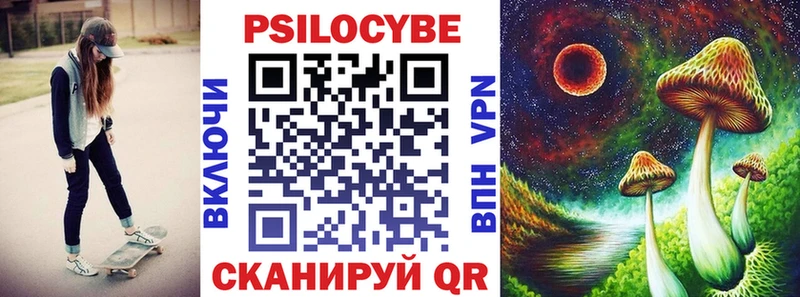 Псилоцибиновые грибы Psilocybine cubensis Ейск