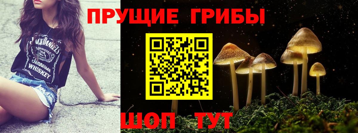 Псилоцибиновые грибы Cubensis  Вход с VPN  Ейск 